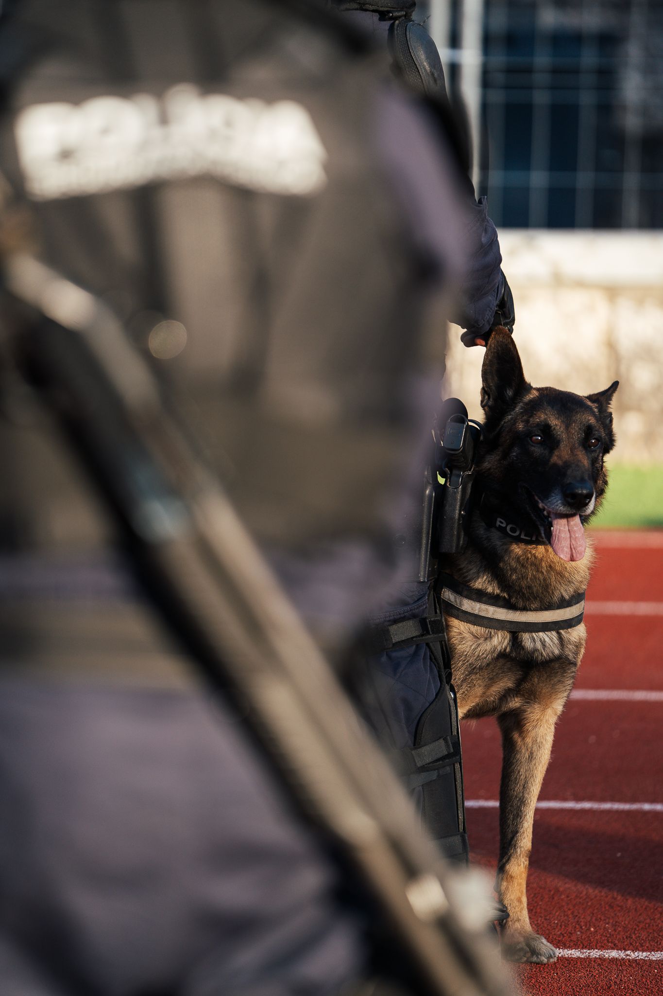 Taça de Portugal 2024 // Sporting C.P x F.C Porto - 2 - 0