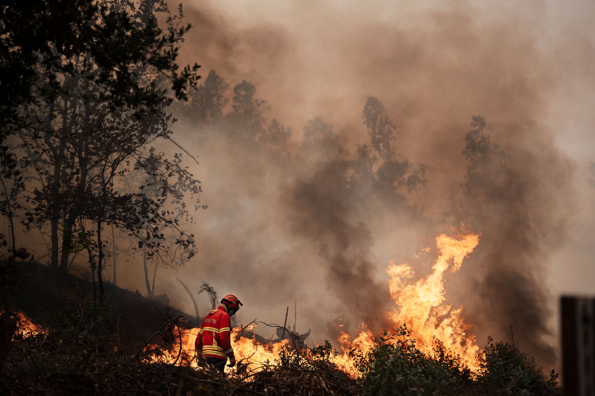 "Os Heróis" das Chamas - 2 - 0