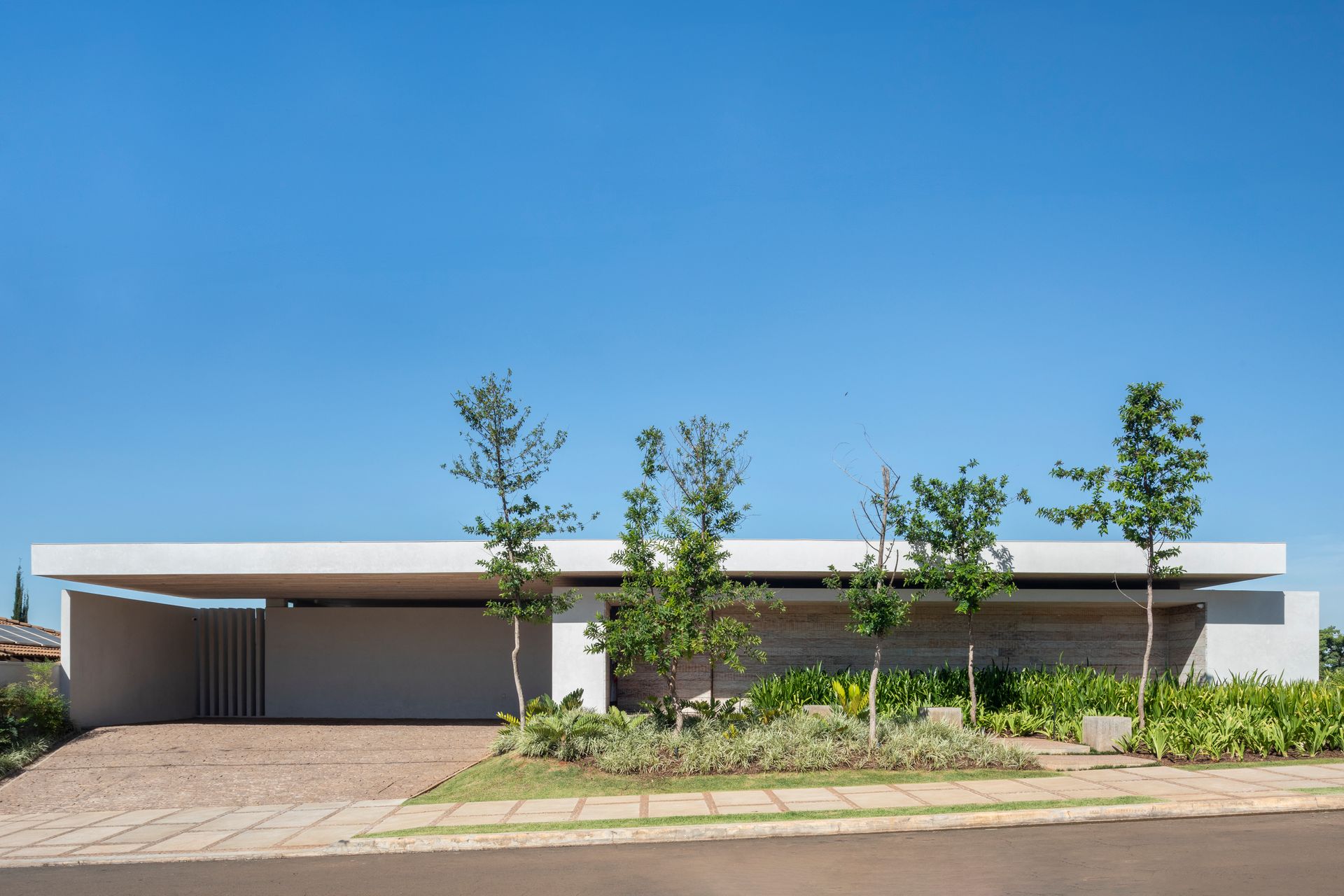 CASA M+JP - 8
