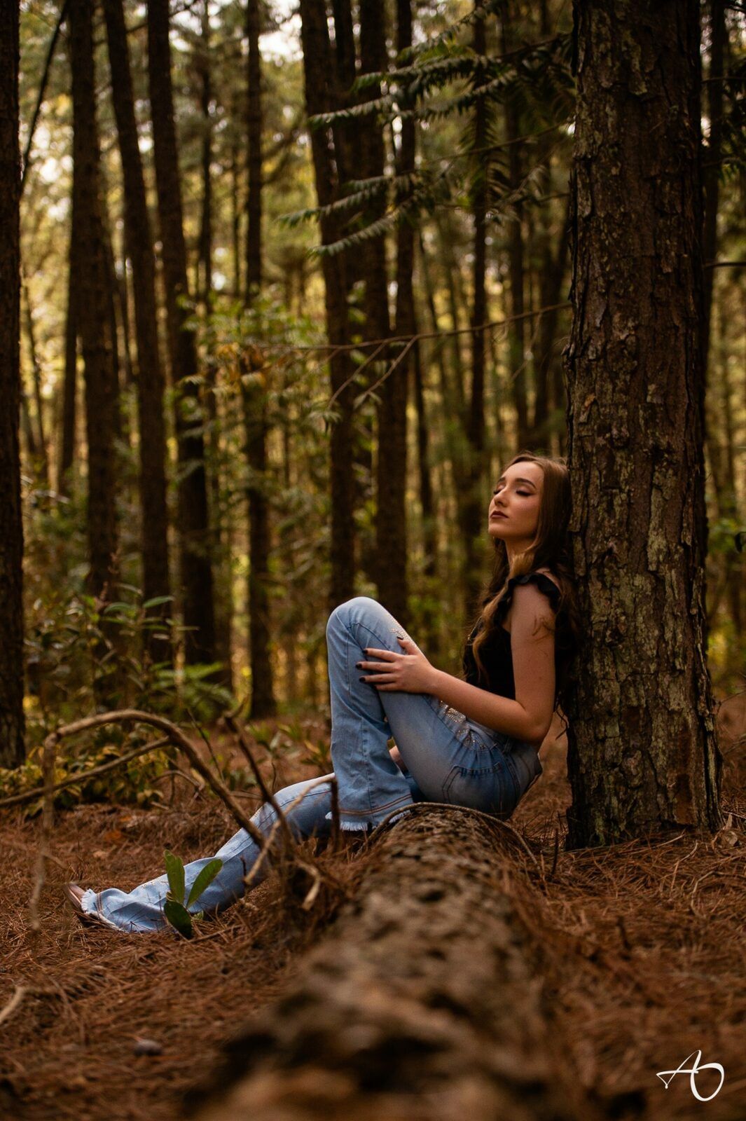 Book de 15 anos da súper Debutante Lara - 2 - 0