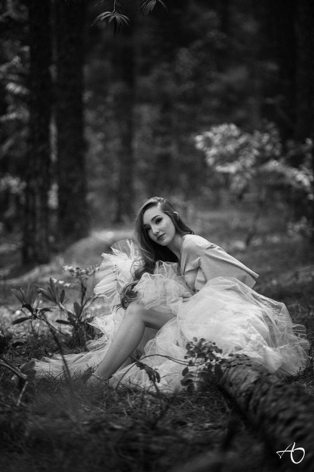 Book de 15 anos da súper Debutante Lara - 2 - 2