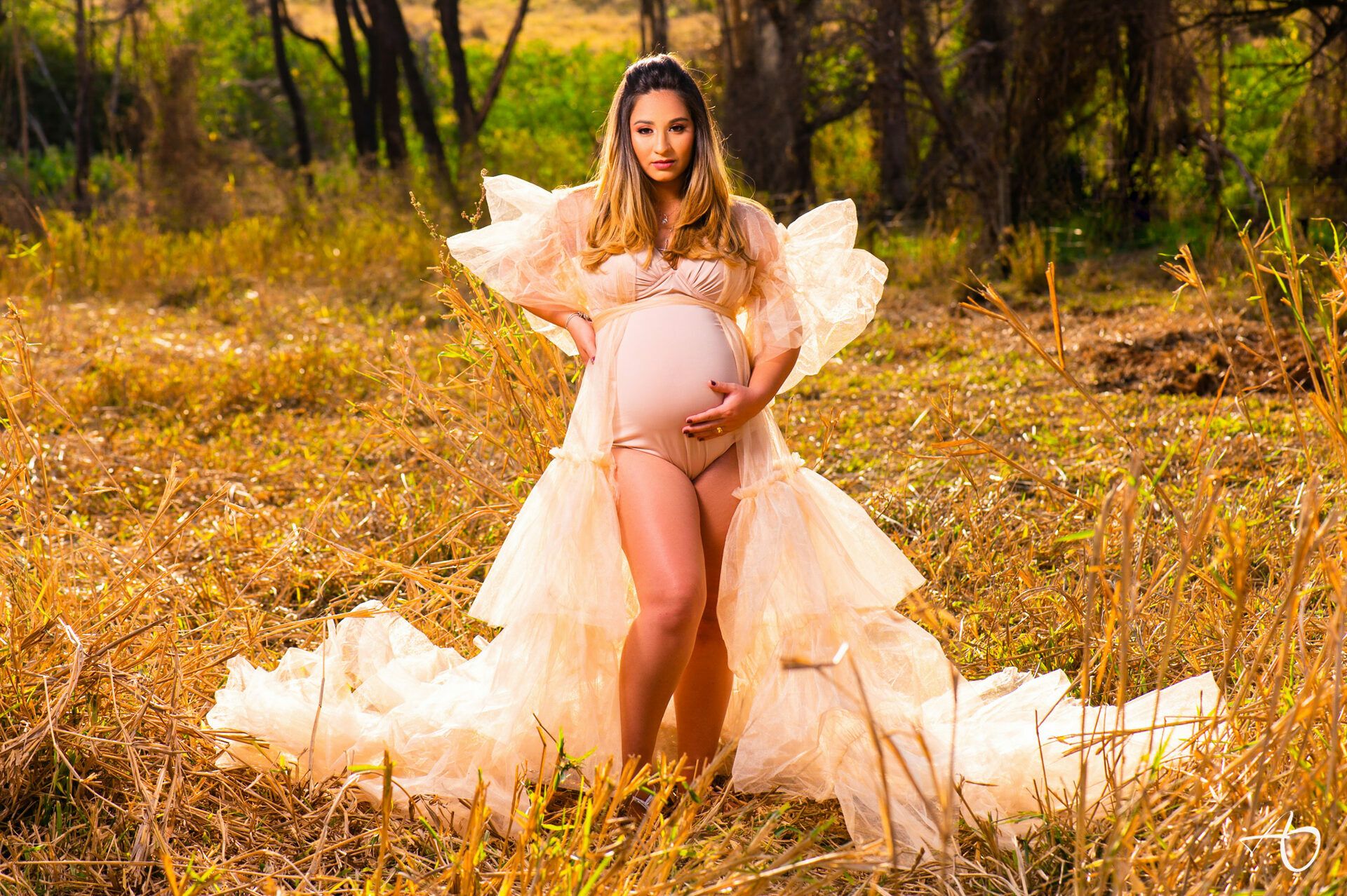 Ensaio de gestante Larissa - 2 - 4