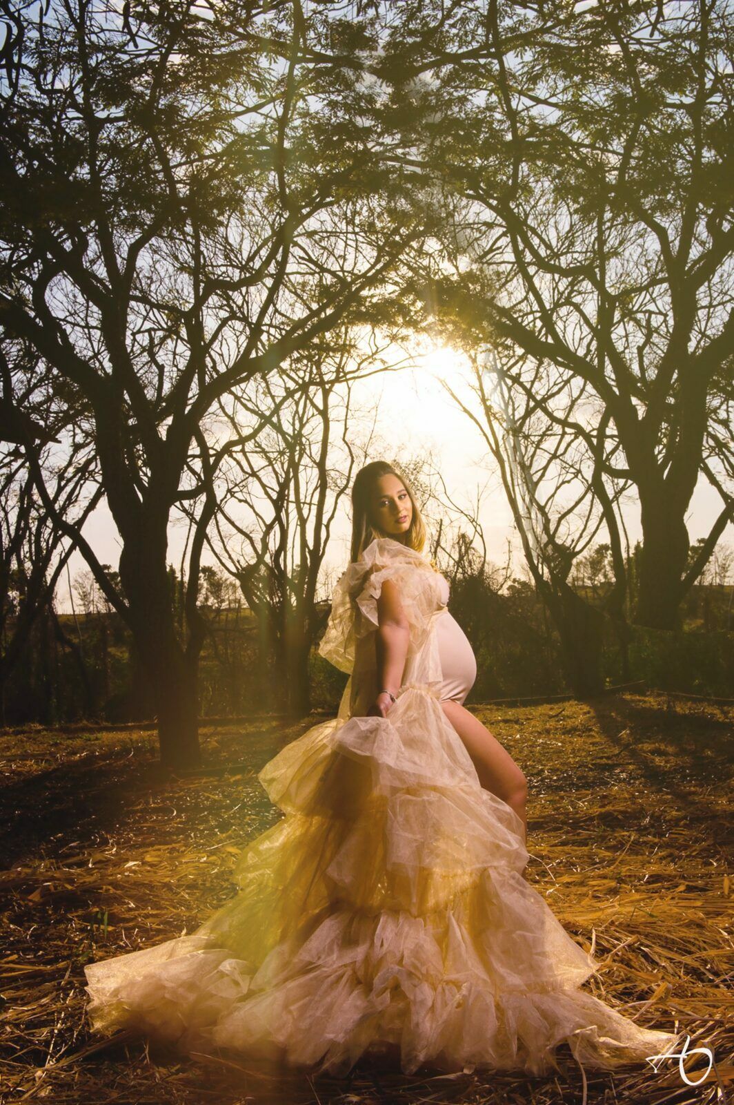 Ensaio de gestante Larissa - 2 - 5