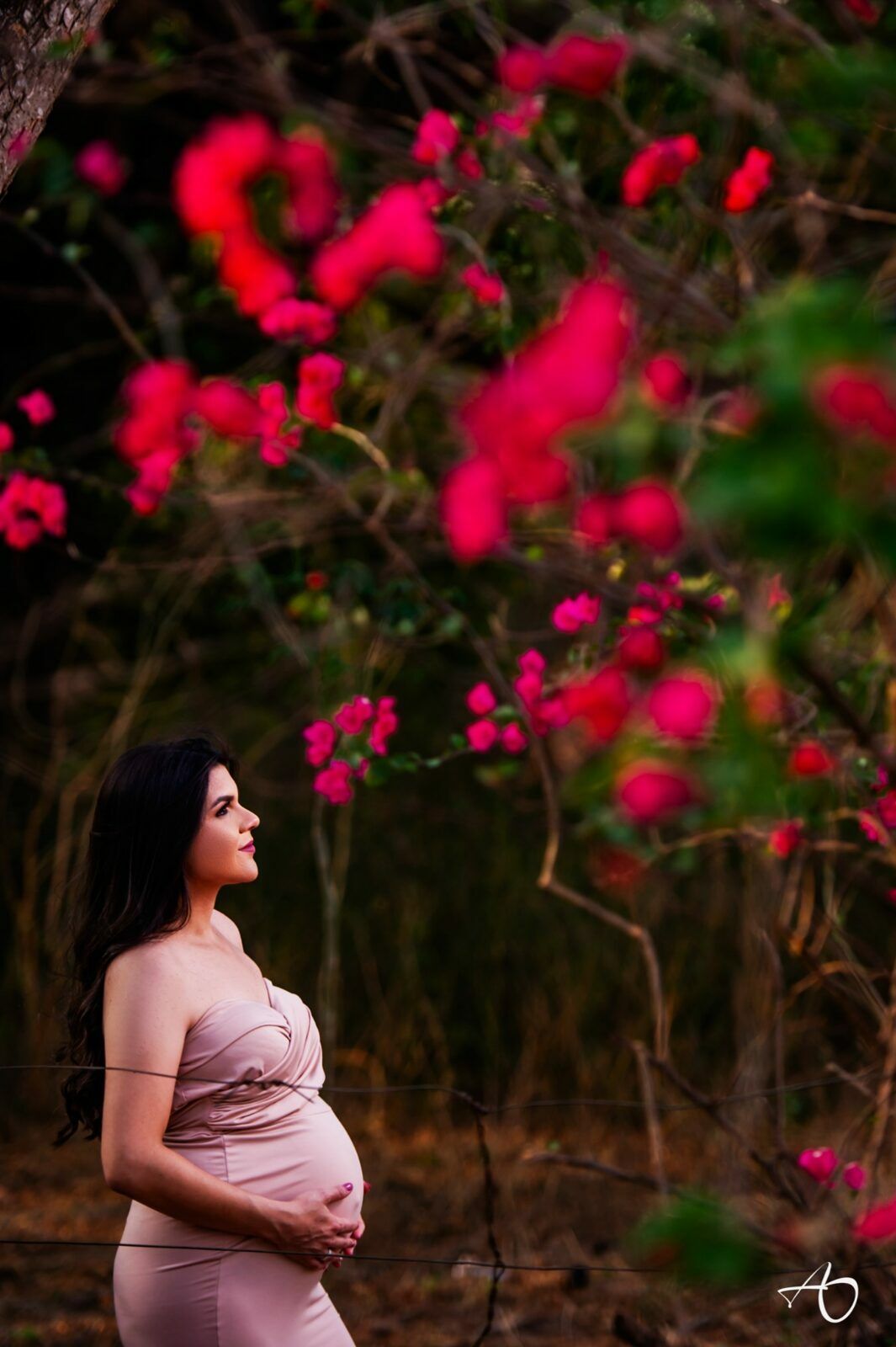 Nosso portfólio de Gestantes - 2 - 35