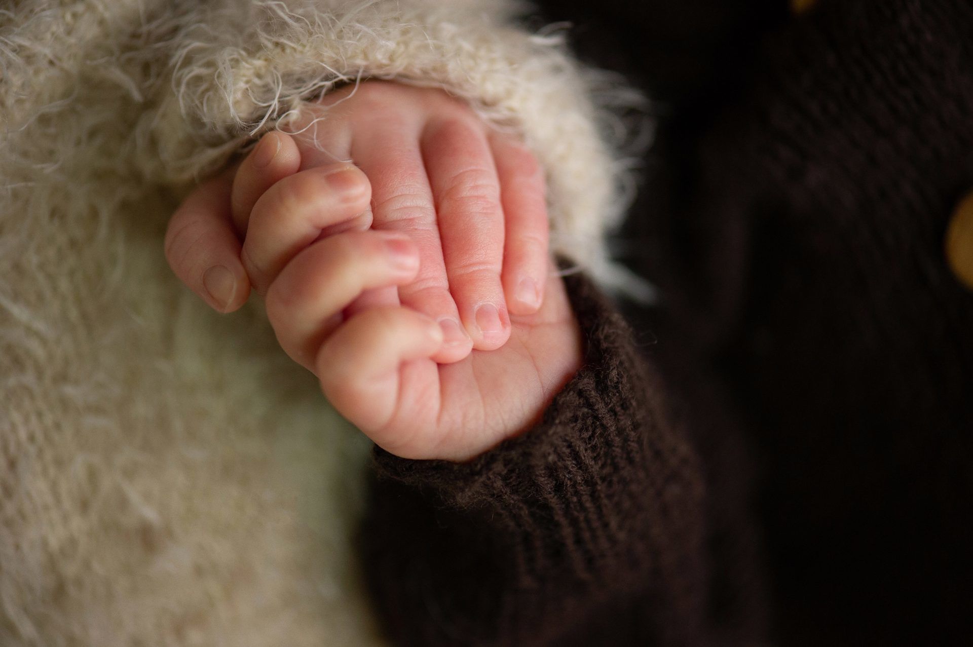 Portfolio do s ensaios Newborn recém nascido - 2 - 1