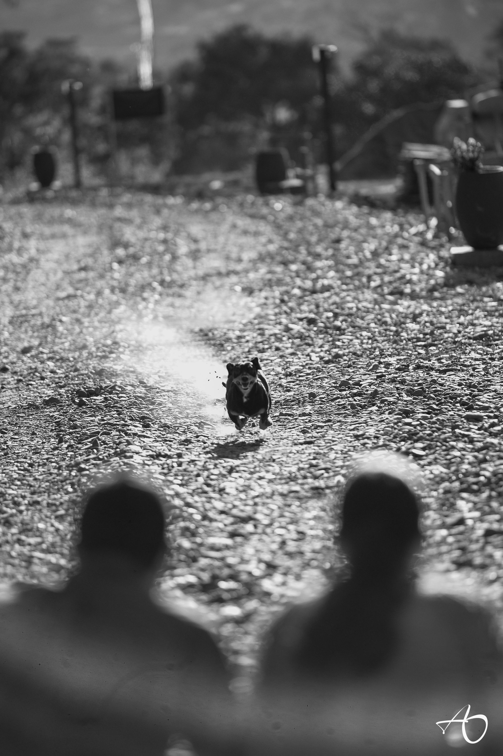 Ensaio Pré-Casamento de Fernanda e Rafael: Um Momento Inesquecível - 2 - 13