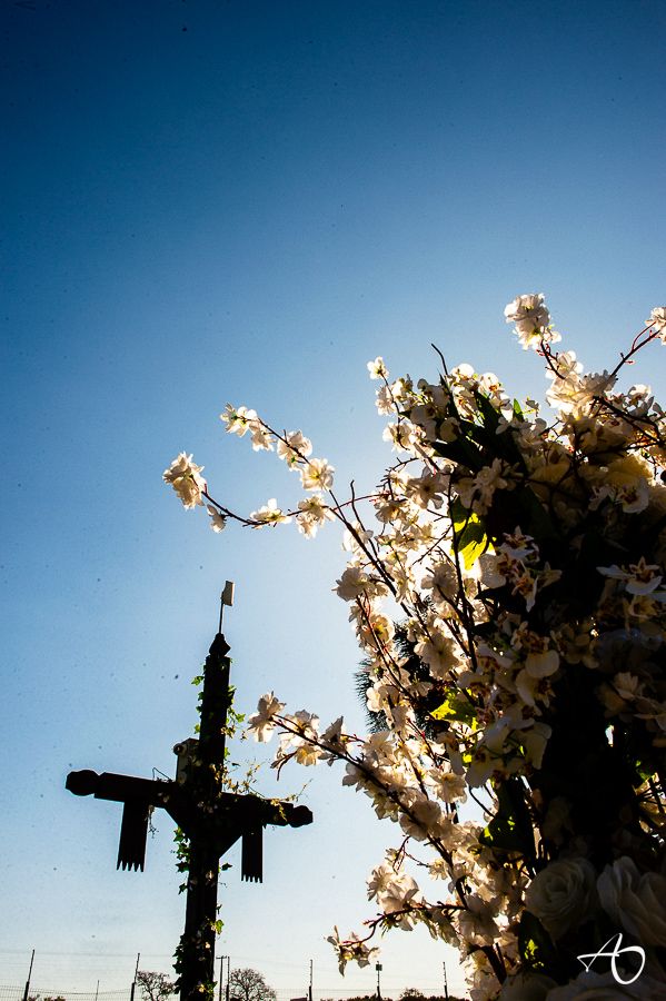 Casamento ao por do Sol Catarina e Lucas - 2 - 4