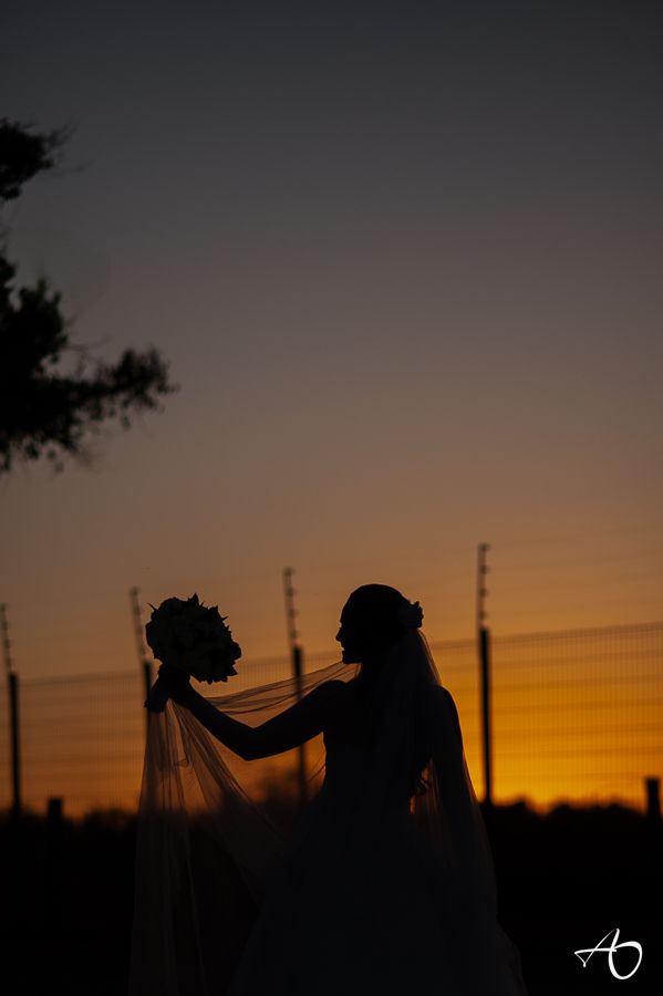 Casamento ao por do Sol Catarina e Lucas - 2 - 40