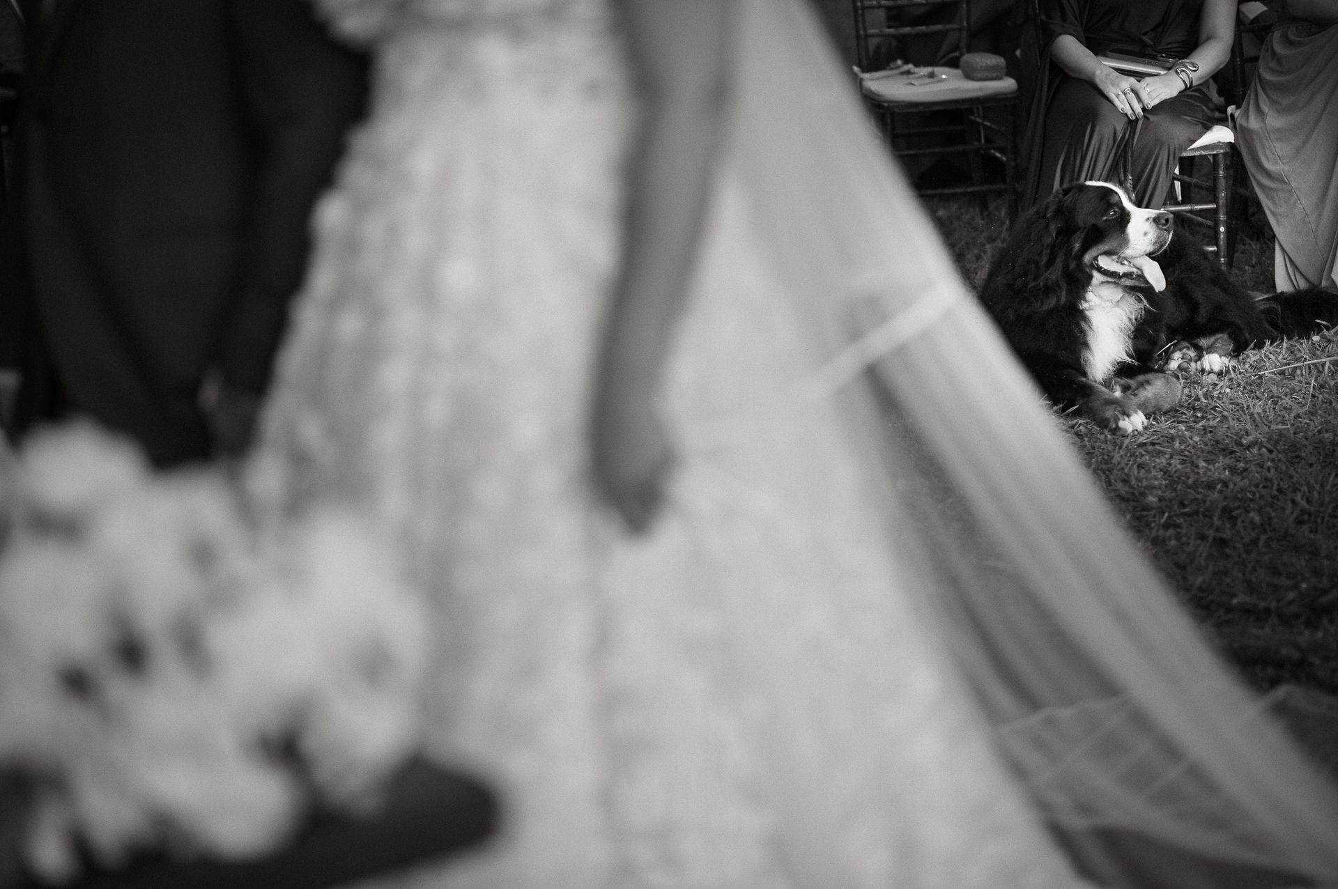 Casamento em Rifaina SP na Beira do Rio Grande — Um Wedding Dream ao Pôr do Sol - 3 - 41