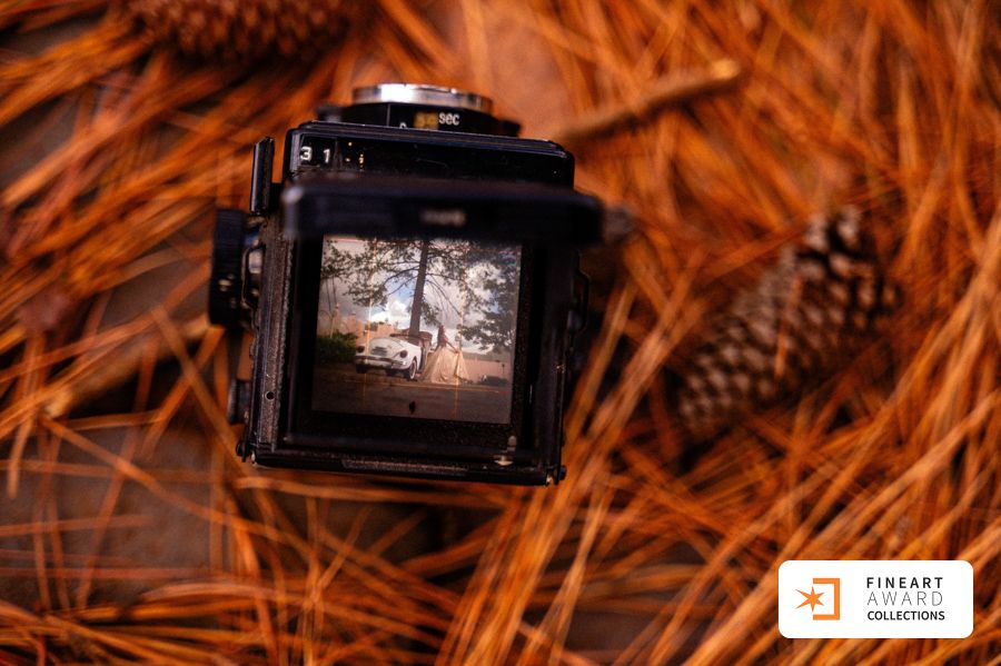 Book Fashion Fifteen da Manu é premiado pela Fine Art Association - 2 - 0