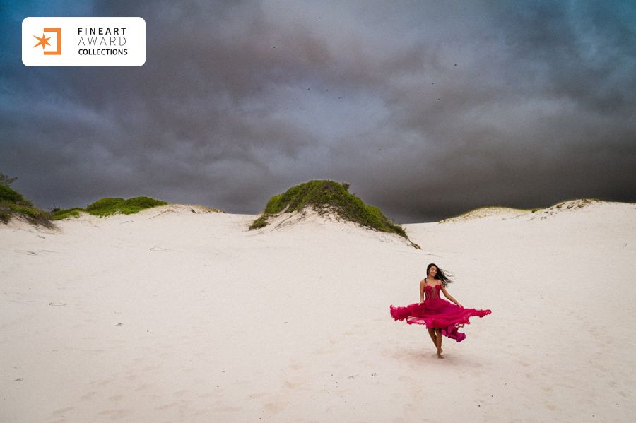 Book Fashion Fifteen da Manu é premiado pela Fine Art Association - 2 - 1