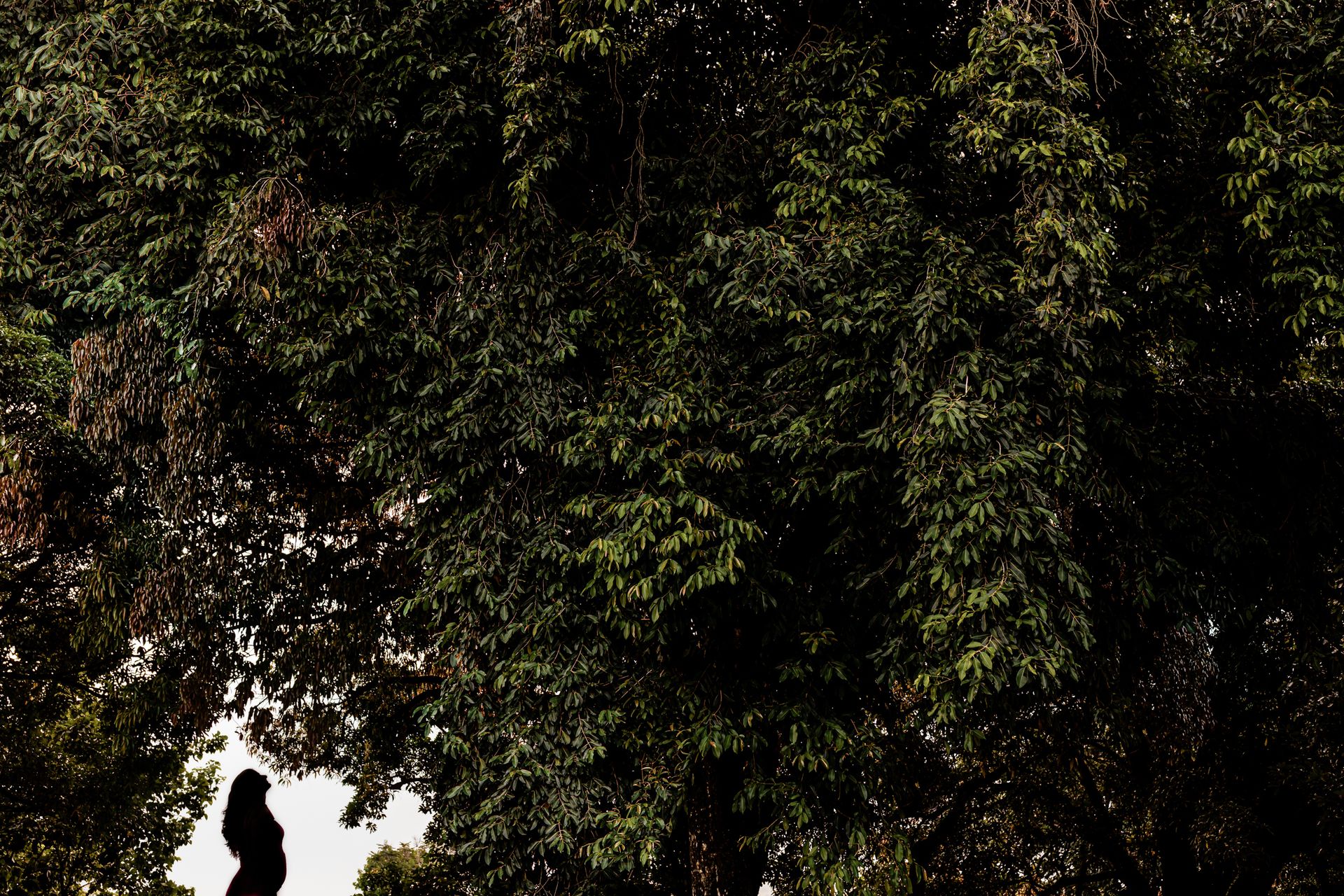 Polyana e Everton - 2 - 14