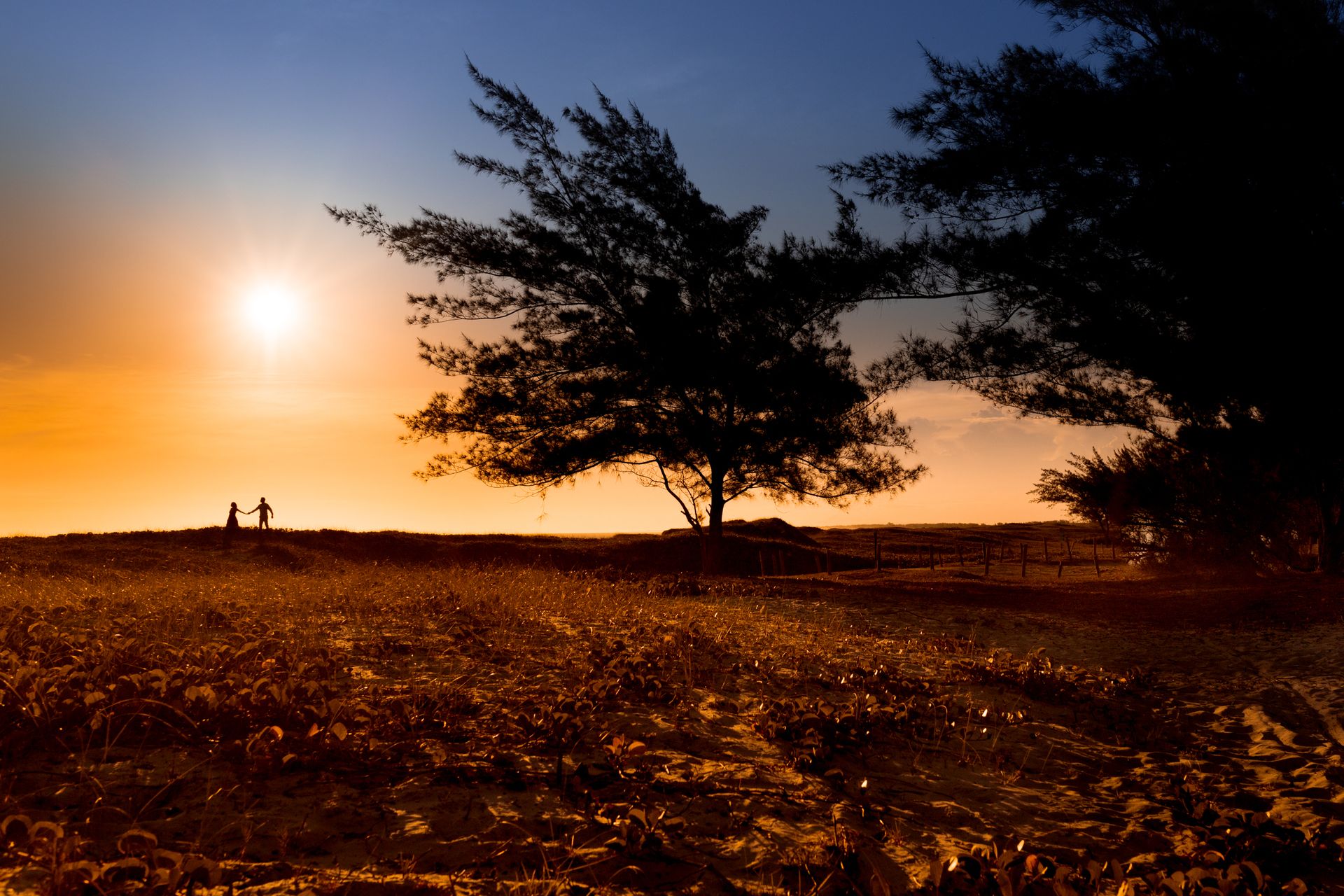 Débora e Thiago - 2 - 28