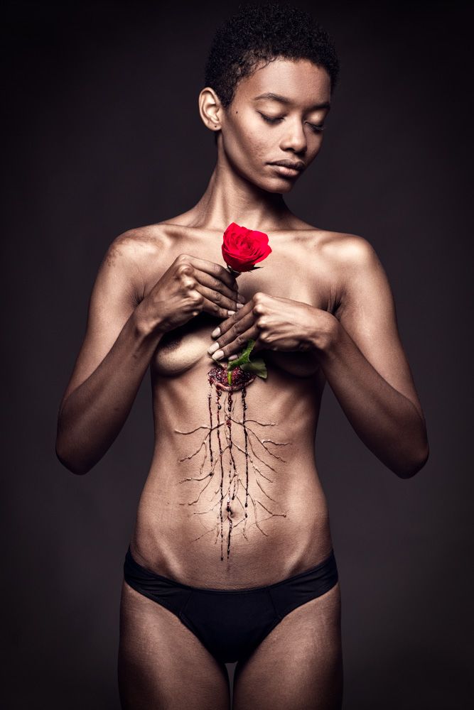 Rooted Love - Amor enraizado - 4 - 1