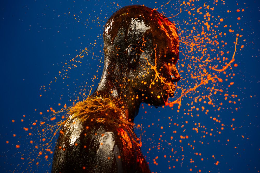 Dendê de Pollock - 4 - 2