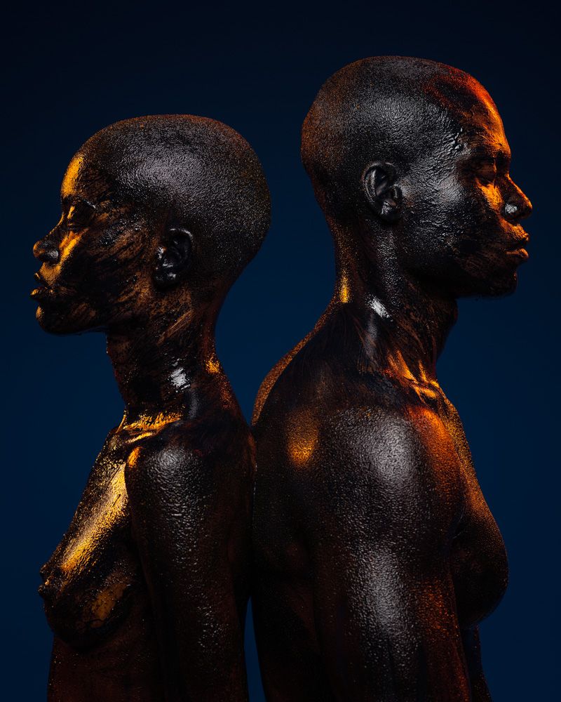 Dendê de Pollock - 4 - 2