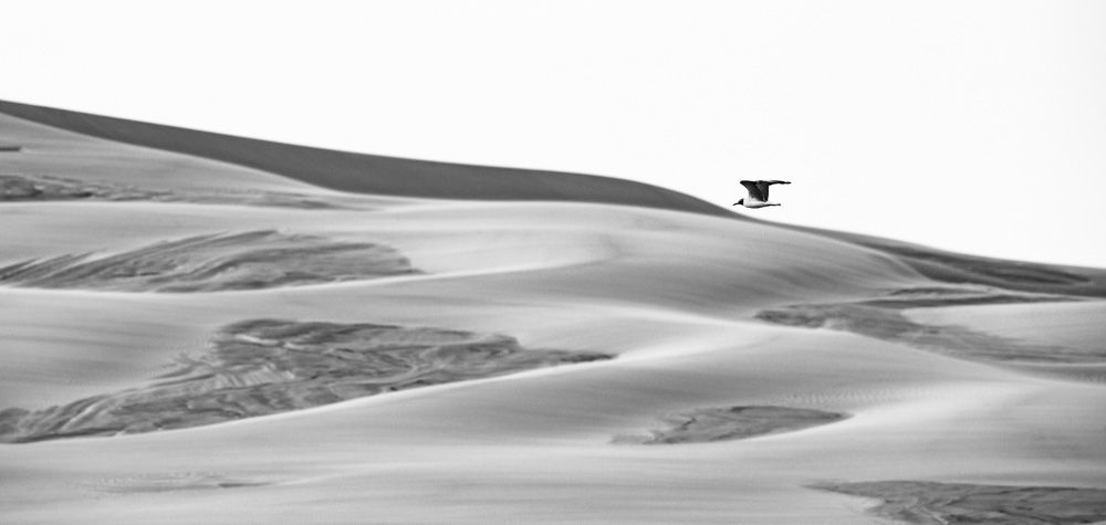 Lençois Maranhenses - Preto e Branco - 2 - 15