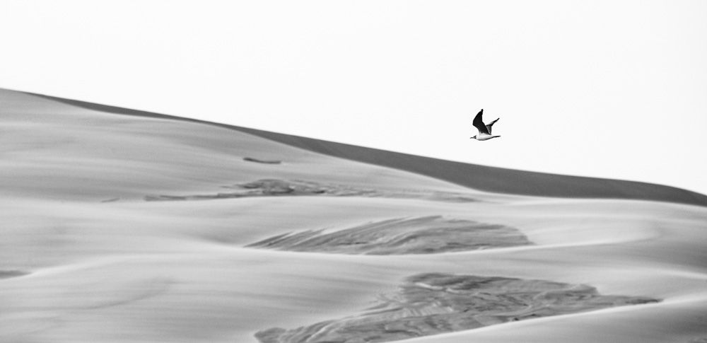 Lençois Maranhenses - Preto e Branco - 2 - 16