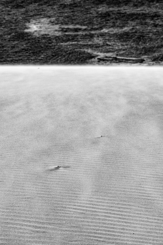 Lençois Maranhenses - Preto e Branco - 2 - 17