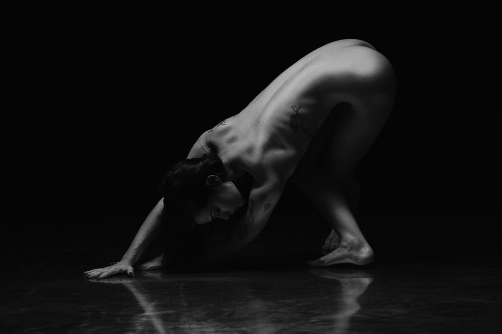 Dança das Sombras: Elegância e Expressão - 4 - 3