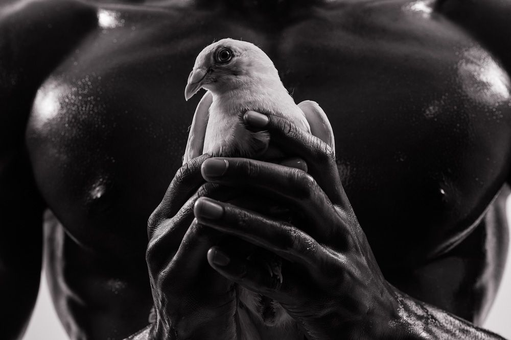 Oxalá - Oxaguian - 3 - 0