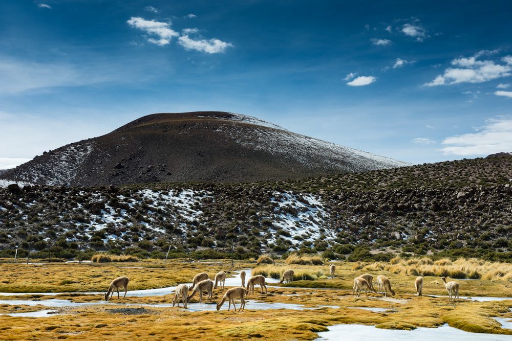 Deserto do Atacama - 2 - 9