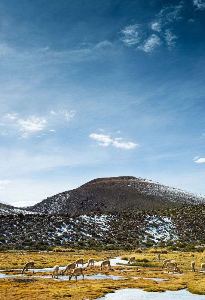 Deserto do Atacama - 2 - 7