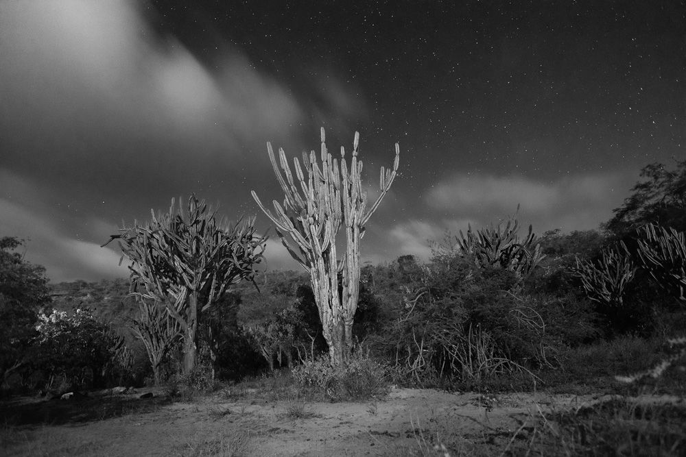 Raso da Catarina - 2 - 0