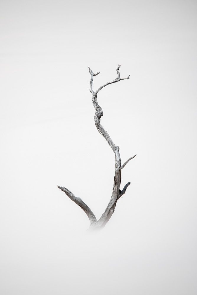 Lençois Maranhenses - Dunas - 2 - 0