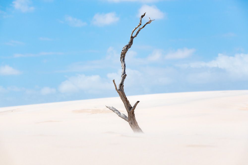 Lençois Maranhenses - Dunas - 2 - 2