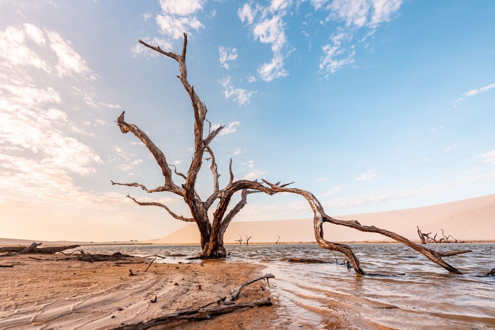 Lençois Maranhenses - Dunas - 2 - 1