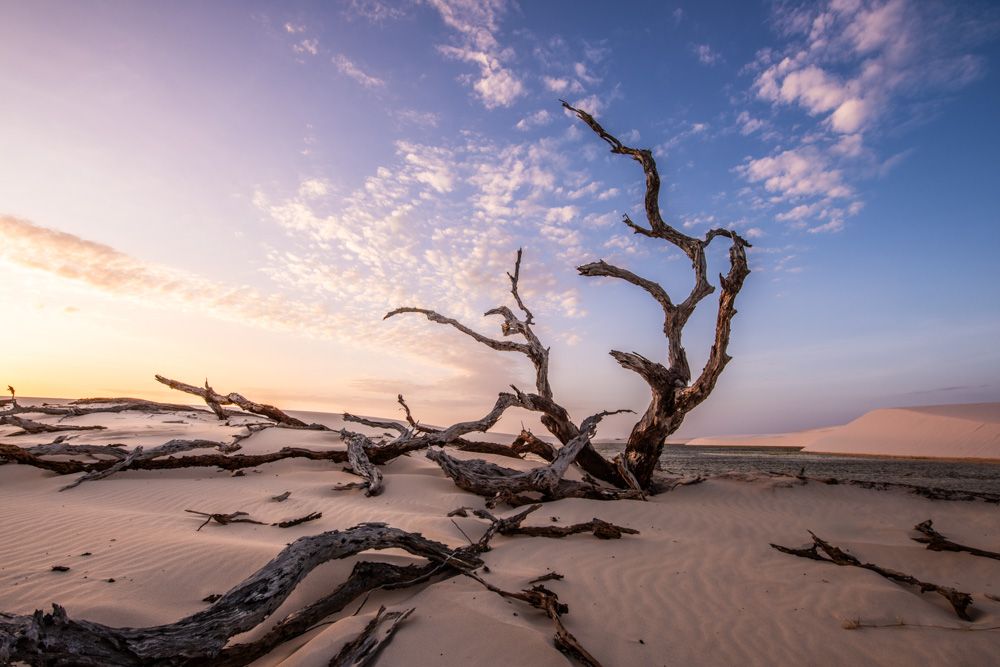 Lençois Maranhenses - Dunas - 2 - 3
