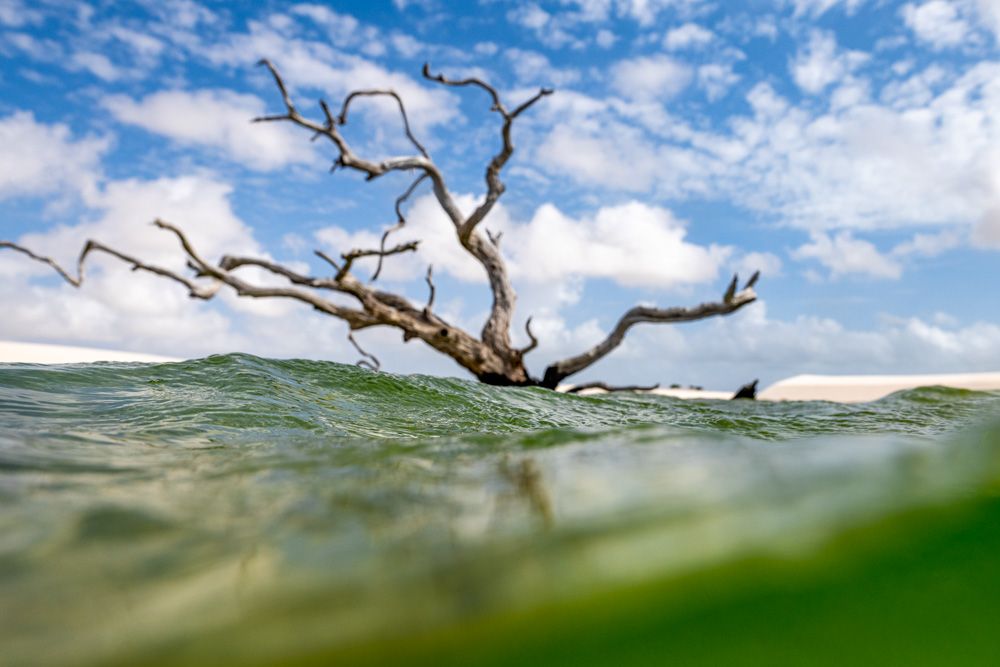 Lençois Maranhenses - Dunas 2 - 2 - 1