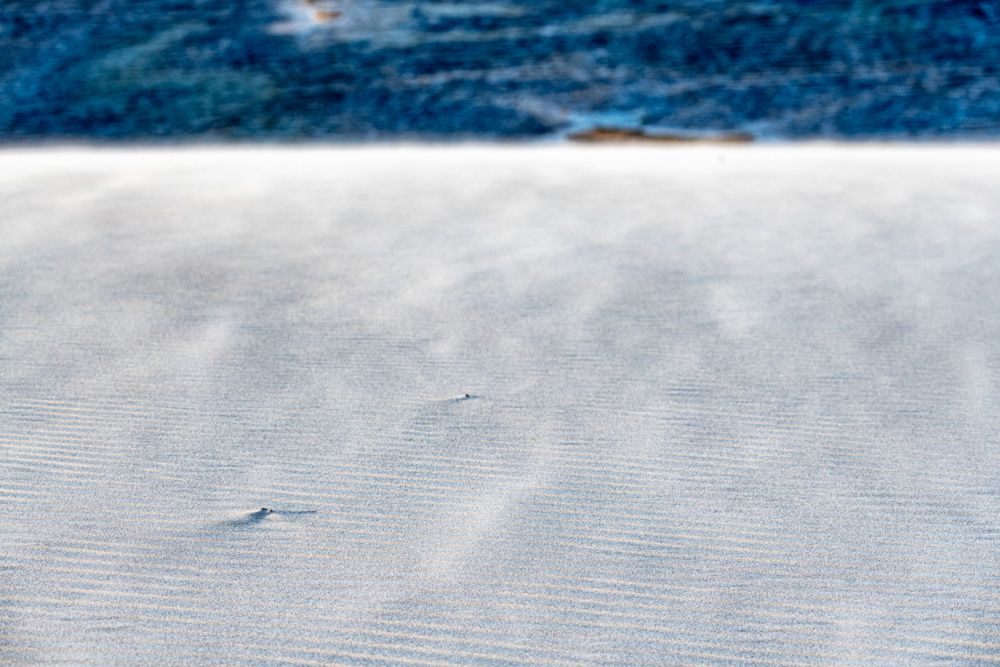 Lençois Maranhenses - Dunas 2 - 2 - 1