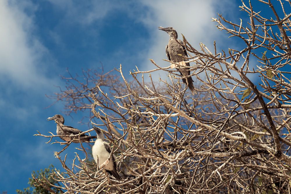 Fernando de Noronha - 2 - 2