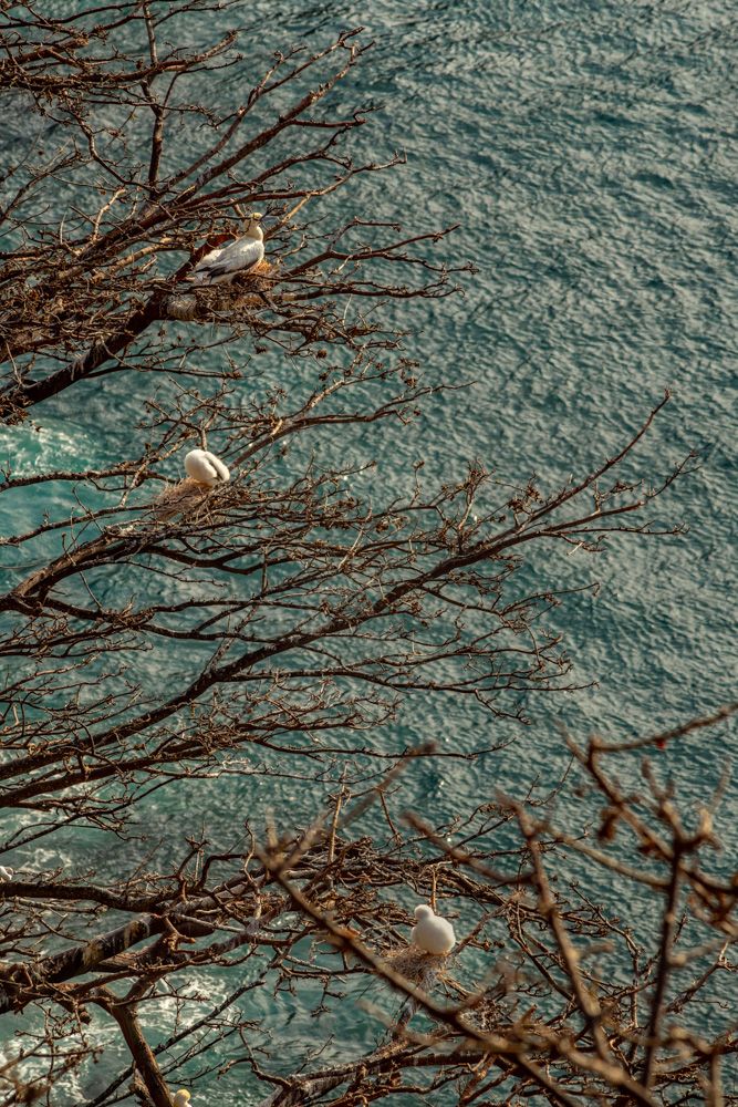 Fernando de Noronha - 2 - 3