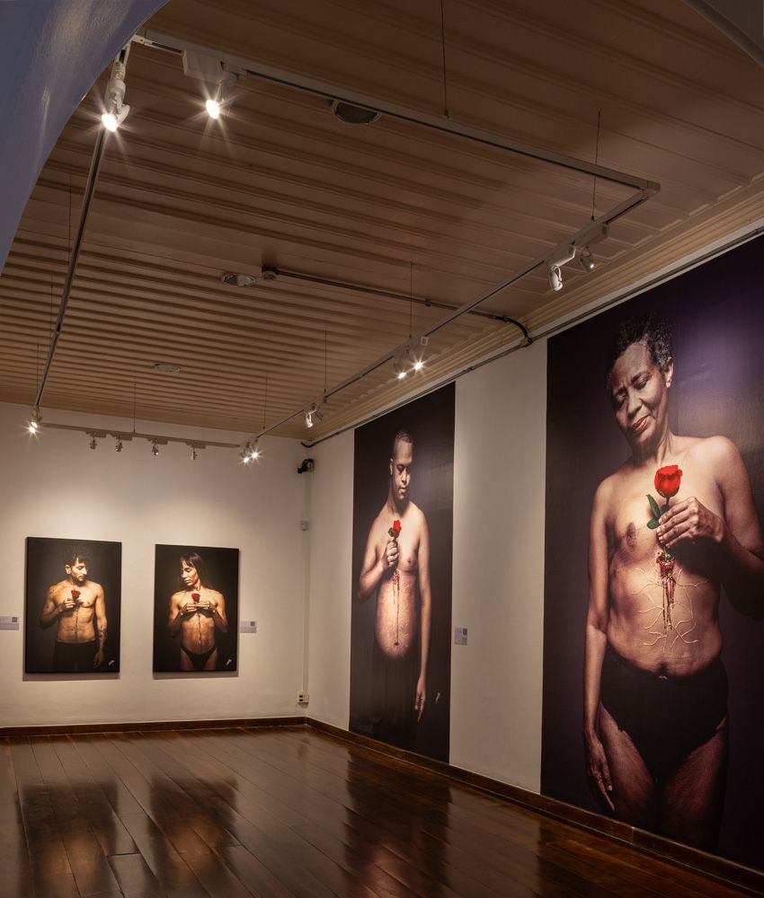 Amor Enraizado 2024 - 4 - 0