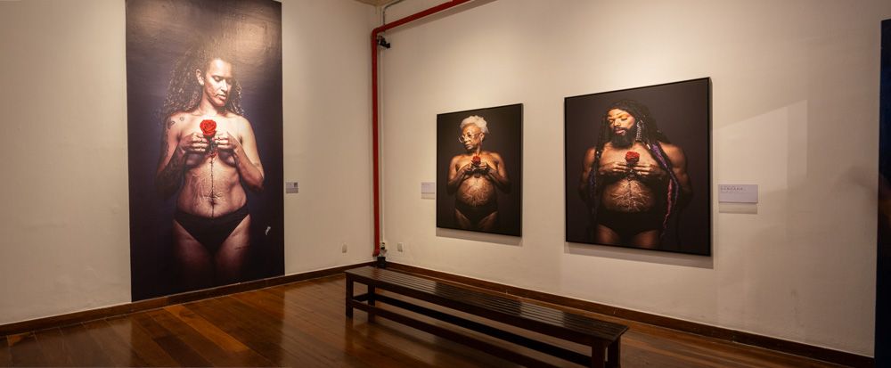 Amor Enraizado 2024 - 4 - 0