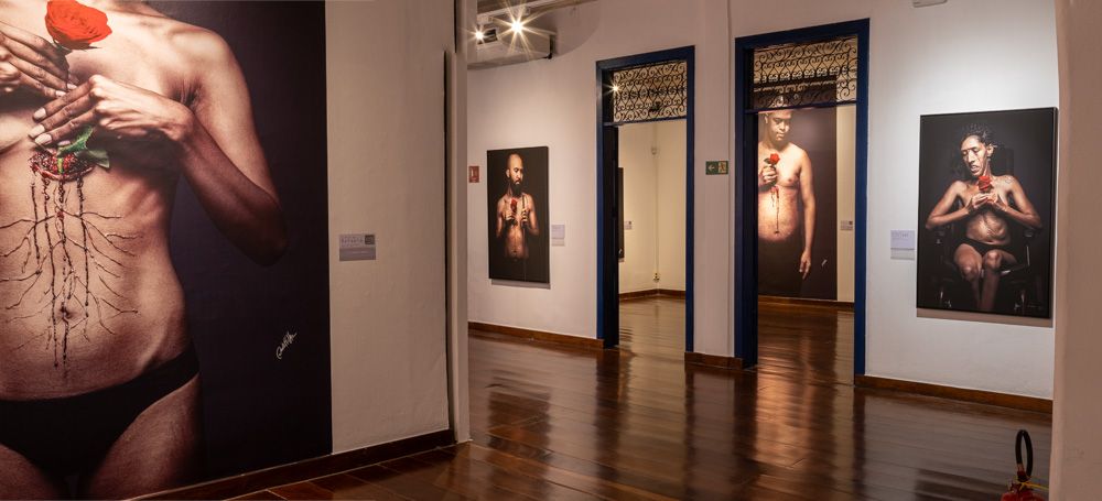 Amor Enraizado 2024 - 4 - 2