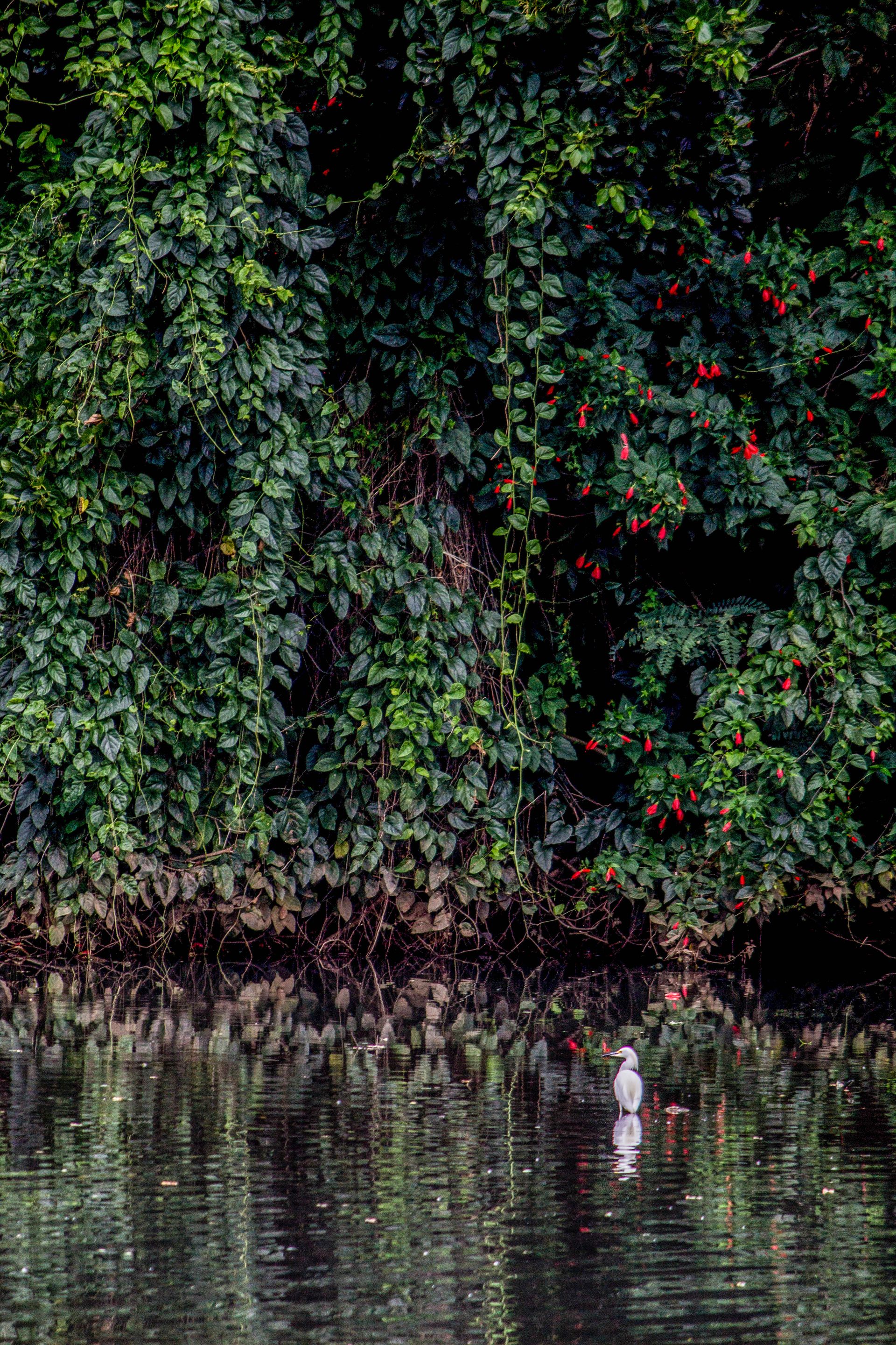 No coração da Mata Atlântica - 3 - 0