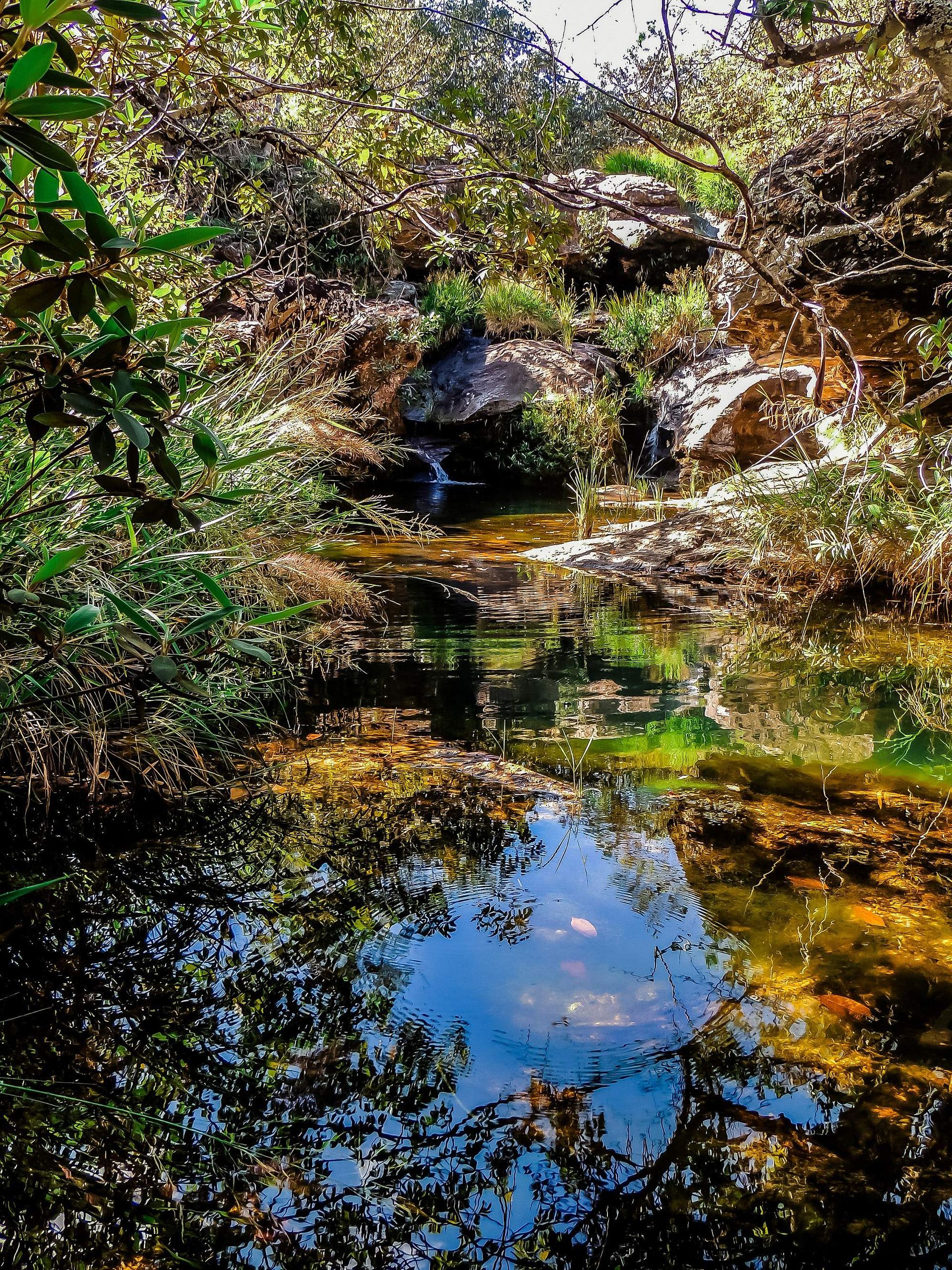 Canastra Feelings - 2 - 1