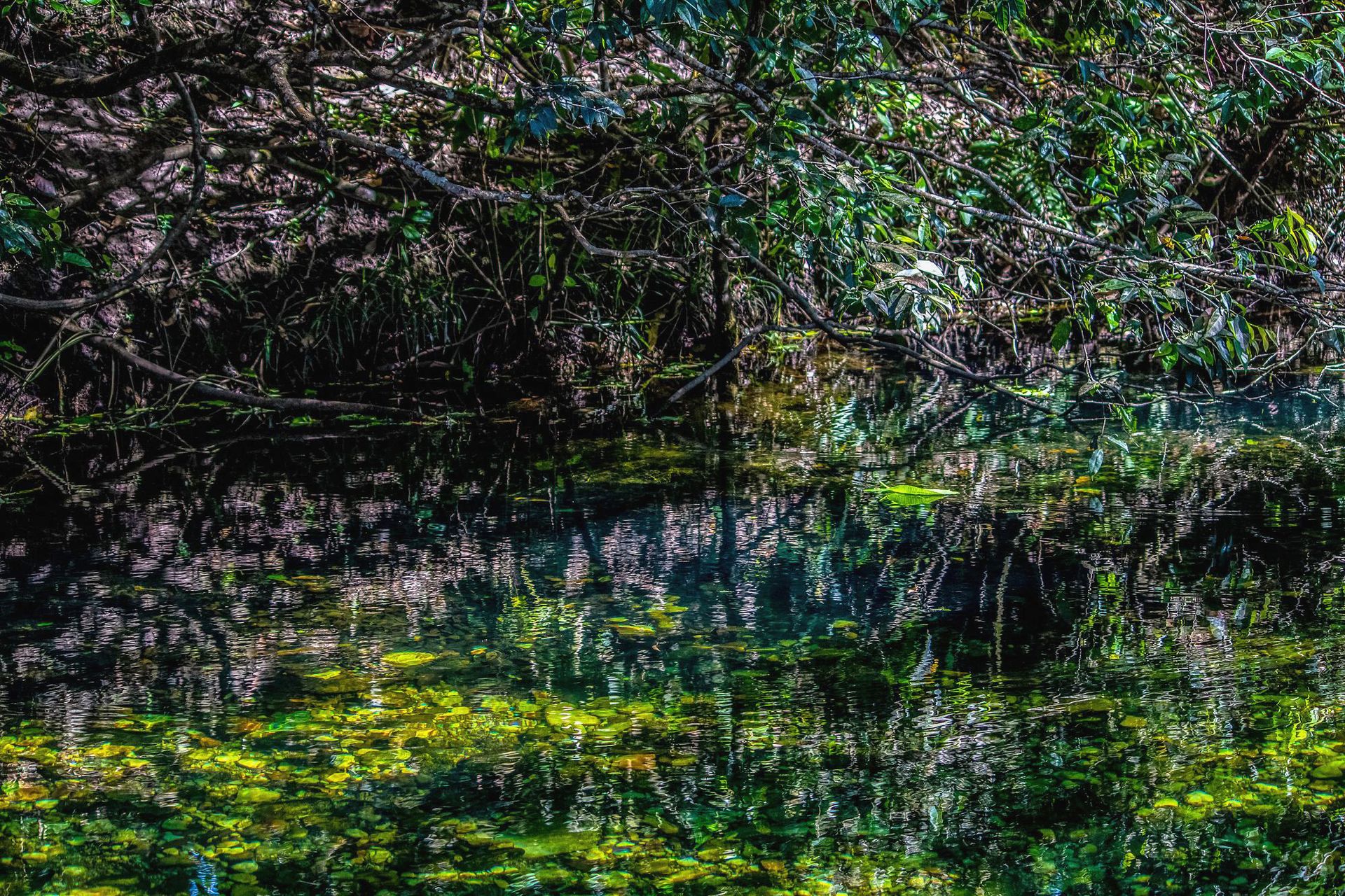 Canastra Feelings - 2 - 0