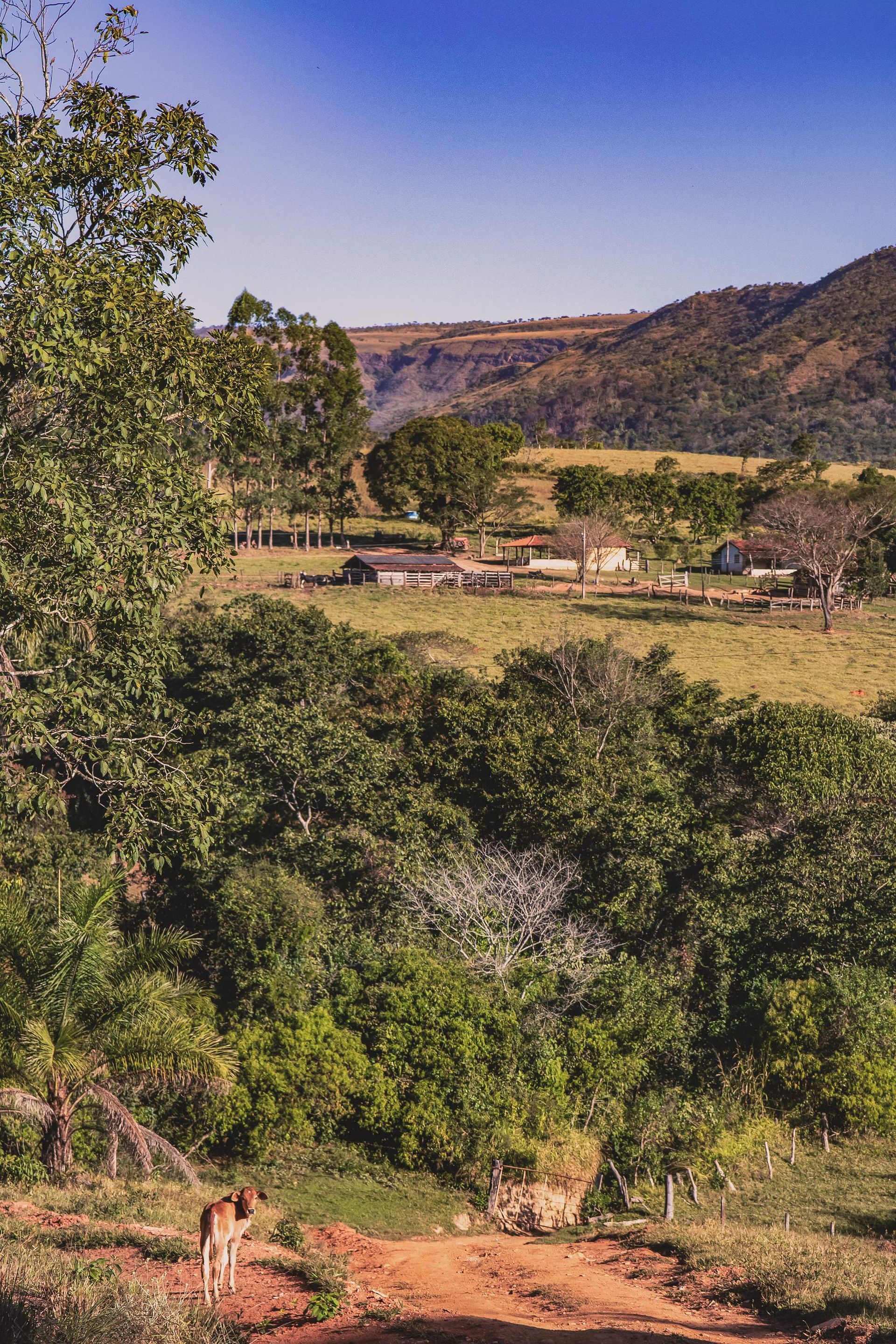 Canastra Feelings - 2 - 1