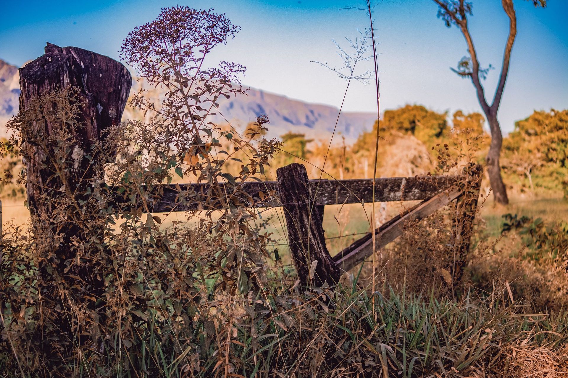 Canastra Feelings - 2 - 1