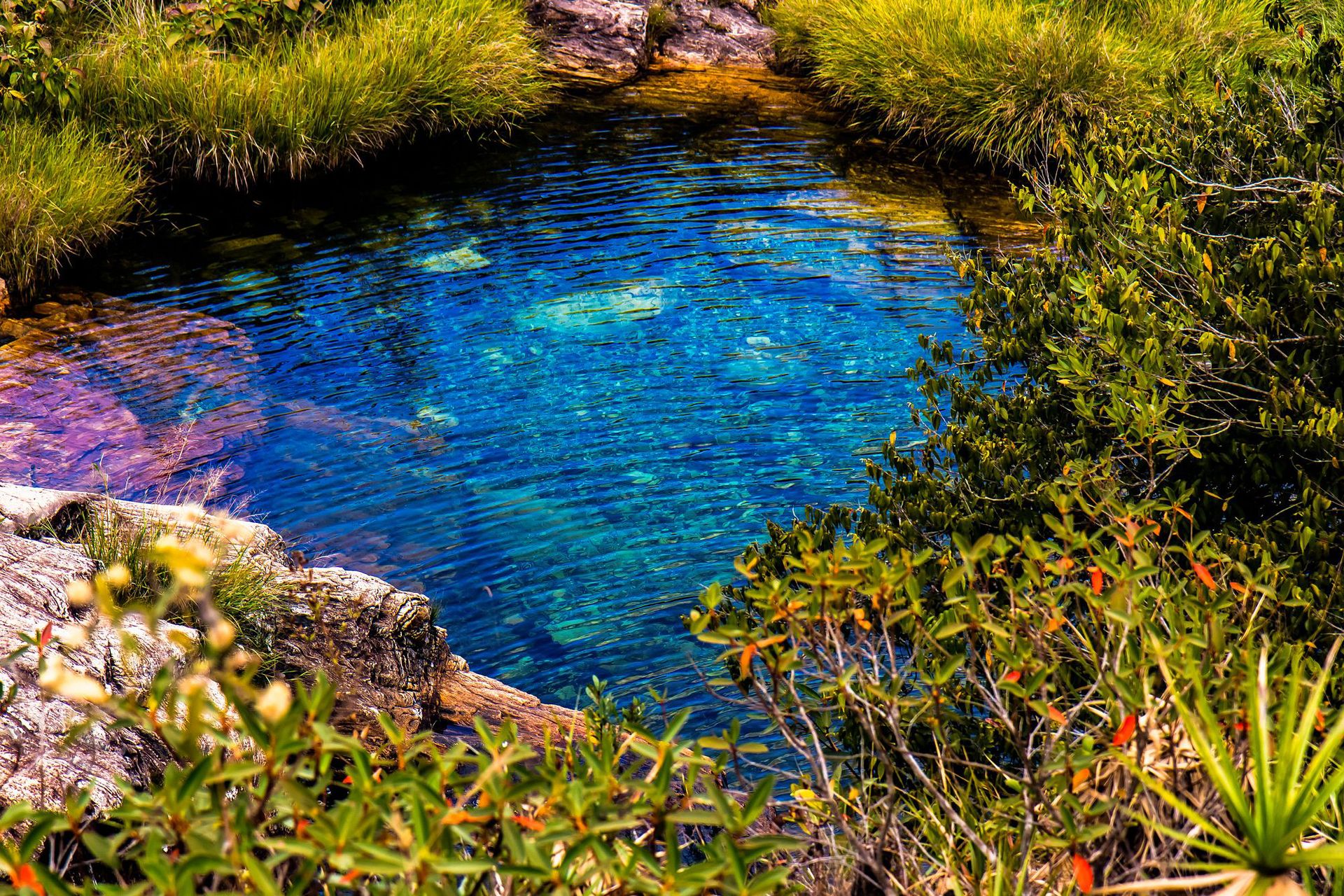 Canastra Feelings - 2 - 0