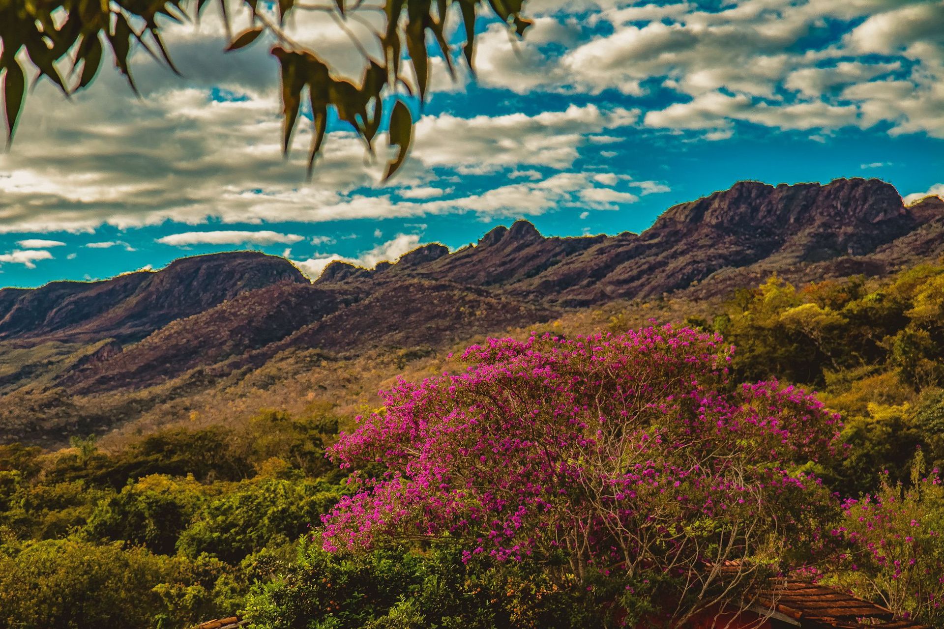 Canastra Feelings - 2 - 1