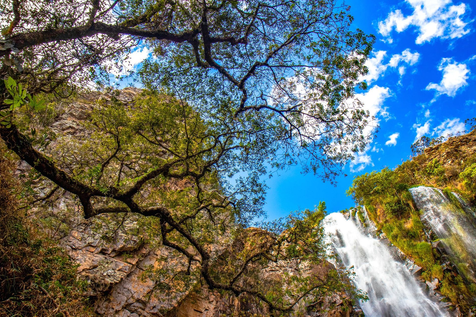 Canastra Feelings - 2 - 0