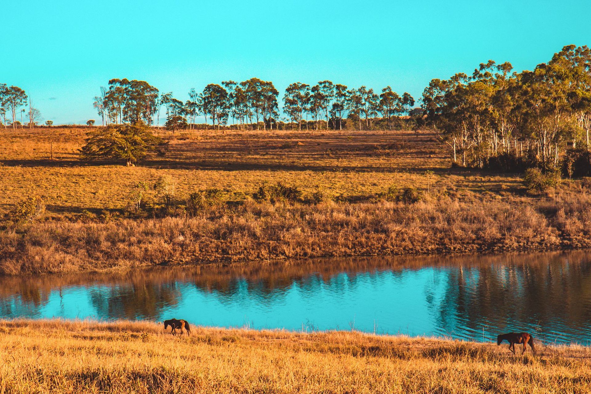 Canastra Feelings - 2 - 1