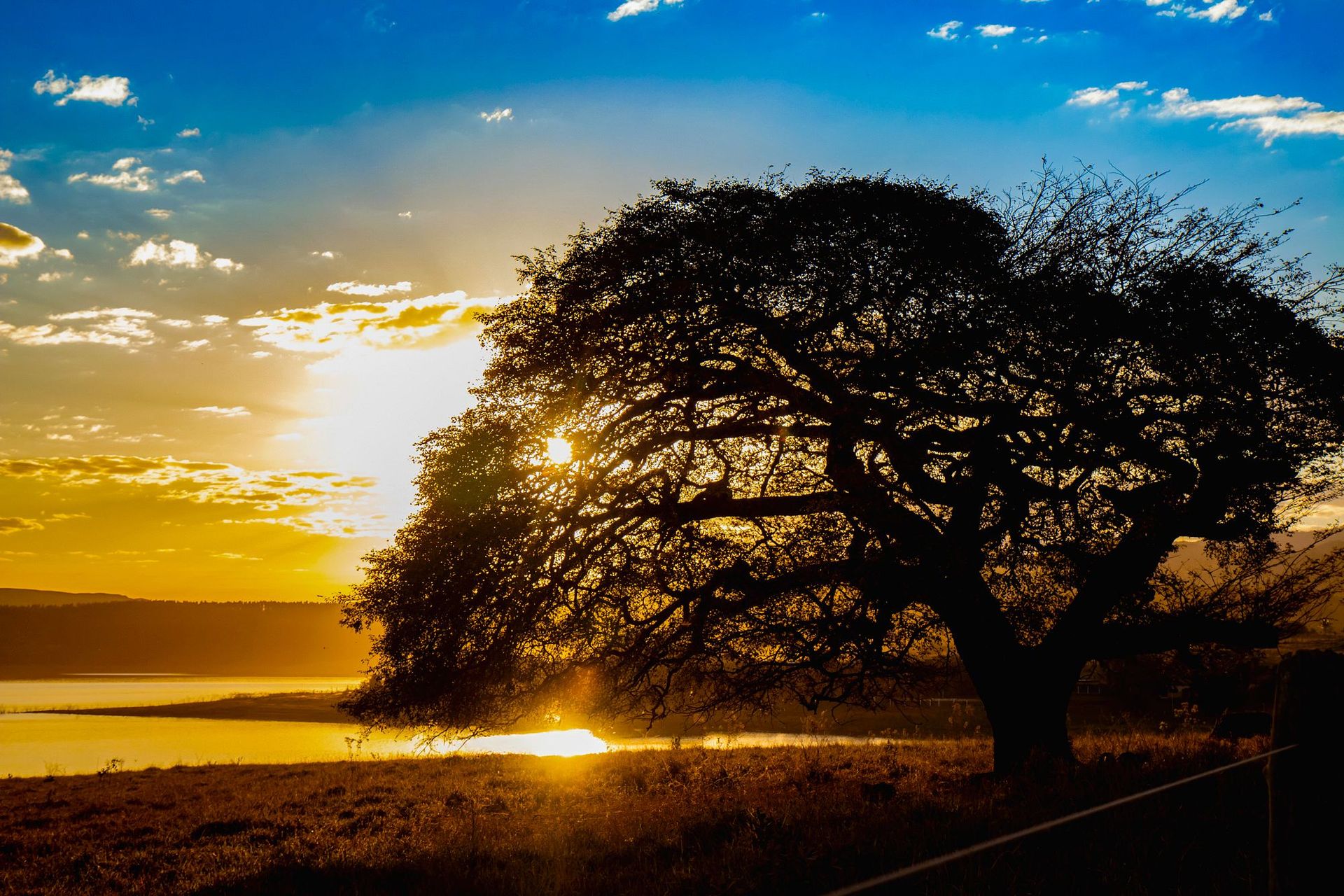 Canastra Feelings - 2 - 0