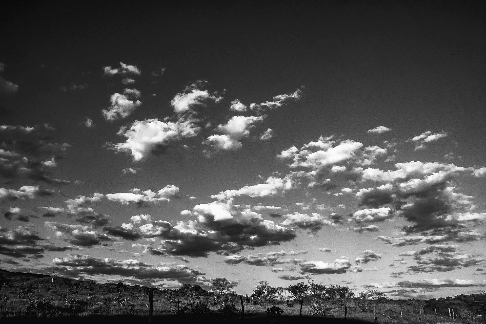 Canastra Feelings - 2 - 0